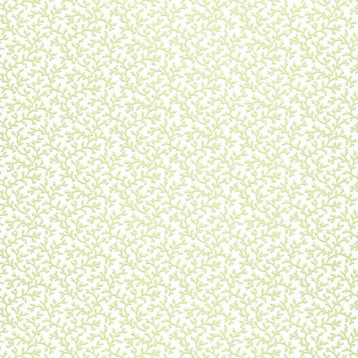 Coral Vine Aloe 5004412 by Schumacher Designer Wallpaper Simply Charming 4.5" - Swanky Fabrics -