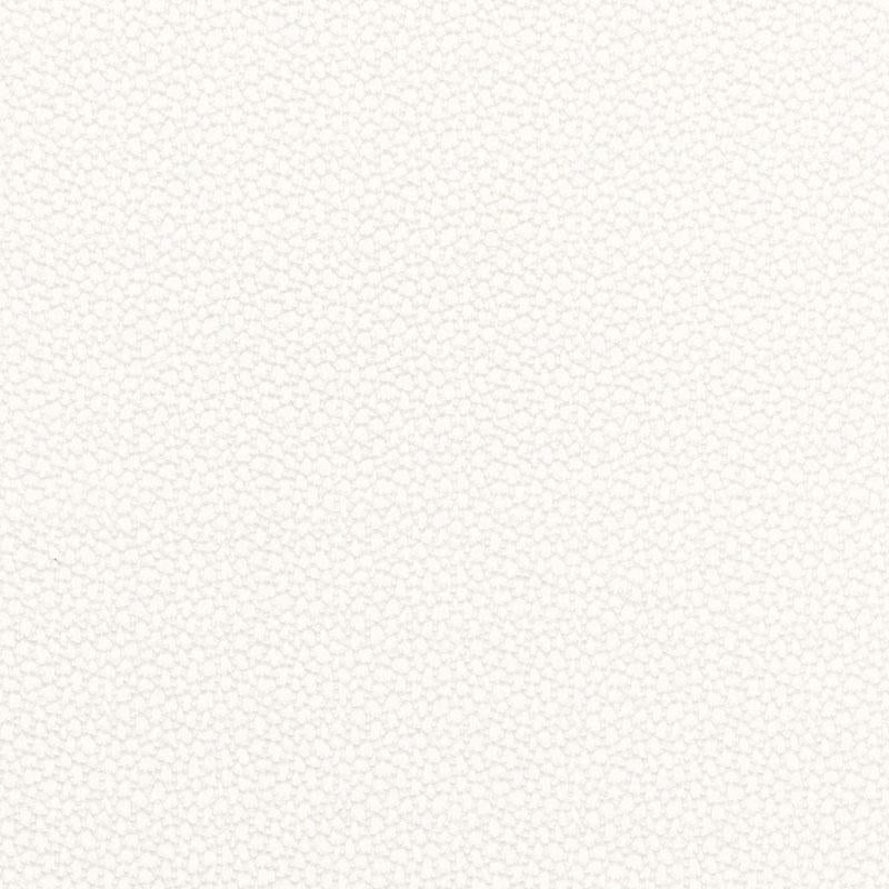 Rossini Sheer Ivory 67660 by Schumacher Designer Fabric Essentials: Sheers & Casements - Swanky Fabrics -