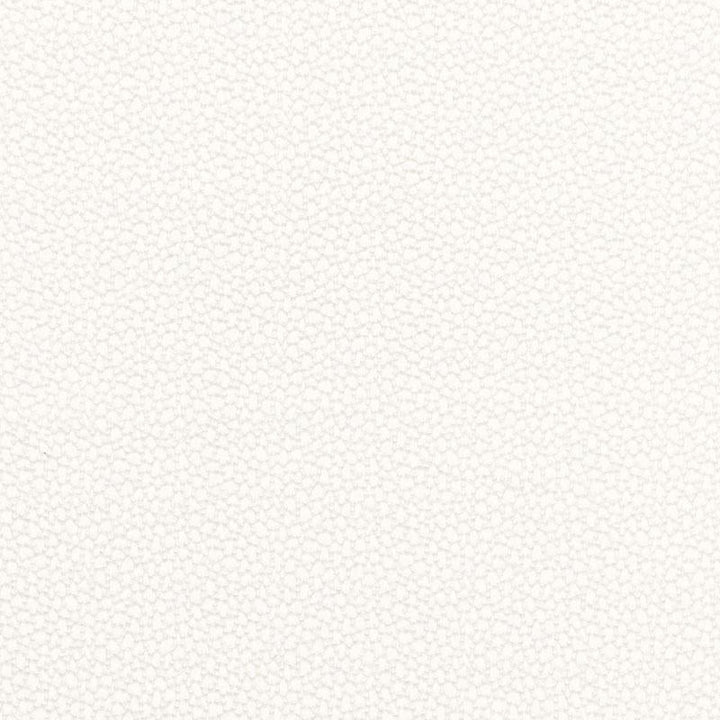 Rossini Sheer Ivory 67660 by Schumacher Designer Fabric Essentials: Sheers & Casements - Swanky Fabrics -