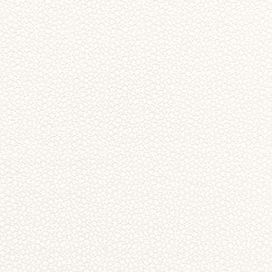 Rossini Sheer Ivory 67660 by Schumacher Designer Fabric