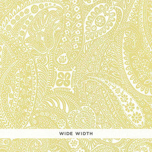 Paisley Print Spring 5003193 by Schumacher Designer Wallpaper