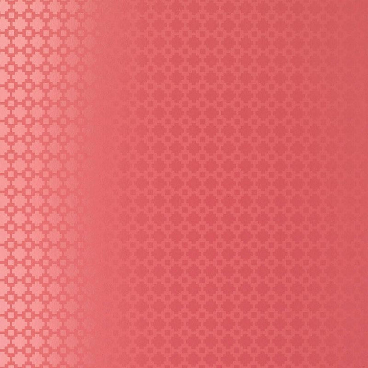 Shake It Up Raspberry Gloss 5003232 by Schumacher Designer Wallpaper Essential 1.25" - Swanky Fabrics -