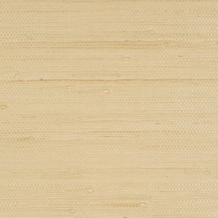 Kiyoko Jute Natural 5008850 by Schumacher Designer Wallpaper Textural Appeal - Swanky Fabrics -