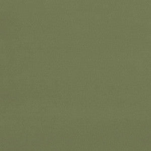 Gainsborough Velvet Celadon 42875 by Schumacher Designer Fabric