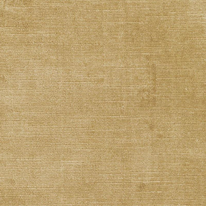 Antique Linen Velvet Champagne 43131 by Schumacher Designer Fabric Perfect Basics: Velvet - Swanky Fabrics -