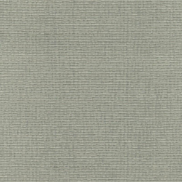Delacroix Silk Ottoman Nickel 54965 by Schumacher Designer Fabric Understated Luxury - Swanky Fabrics -
