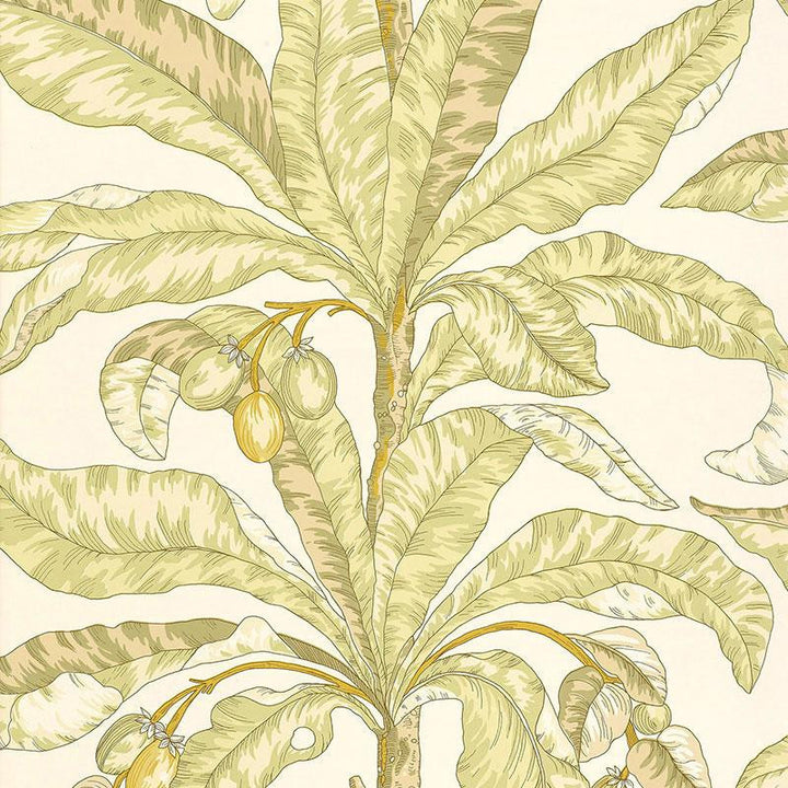 Blair House Palm Kiwi 5004062 by Schumacher Designer Wallpaper Tropicana 27.0" - Swanky Fabrics -