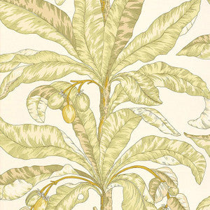 Blair House Palm Kiwi 5004062 by Schumacher Designer Wallpaper