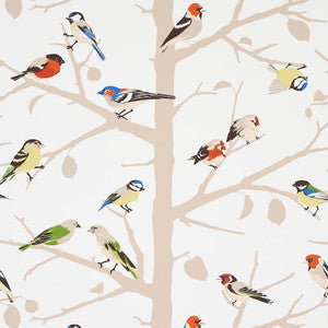 A-Twitter Summer 5005031 by Schumacher Designer Wallpaper