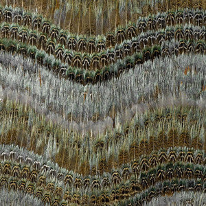 Clearwater Blue Heron 5004020 by Schumacher Designer Wallpaper