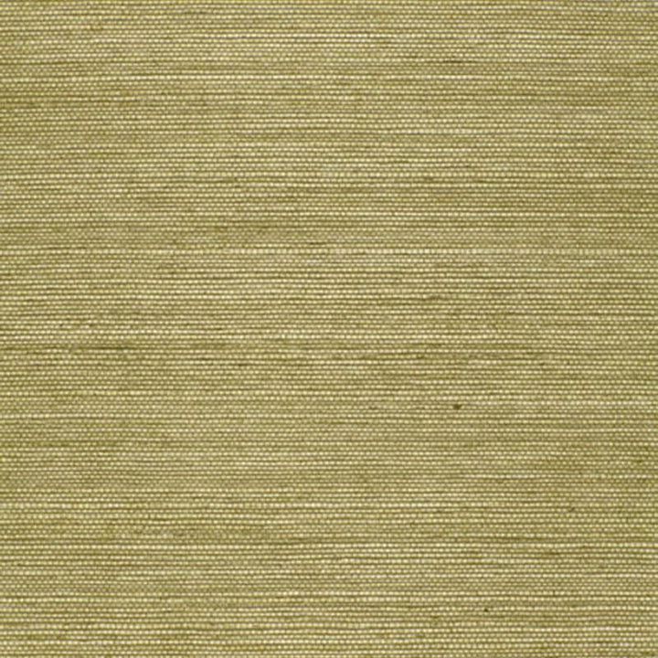 Haruki Sisal Olive 5004709 by Schumacher Designer Wallpaper Essential - Swanky Fabrics -