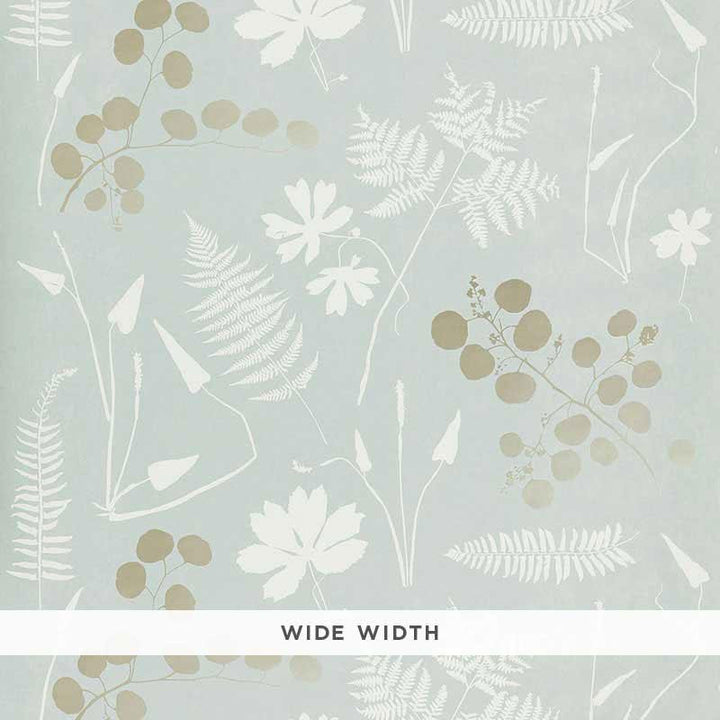 Modern Botanical Slate 5005011 by Schumacher Designer Wallpaper Modern Nature 46.75" - Swanky Fabrics -