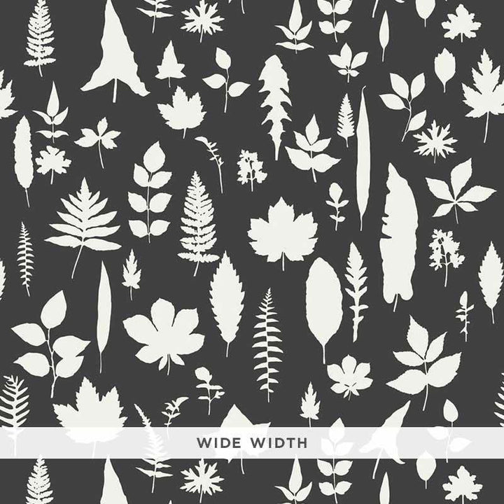 Leaves Graphite 5005023 by Schumacher Designer Wallpaper Modern Nature 54.0" - Swanky Fabrics -