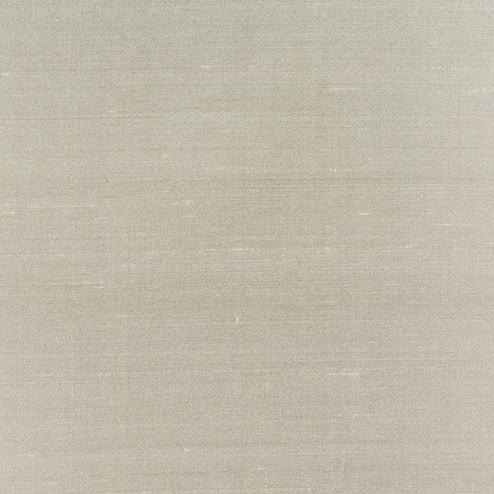 Bellini Silk Oyster 63789 by Schumacher Designer Fabric Perfect Basics: Silk & Taffeta - Swanky Fabrics -