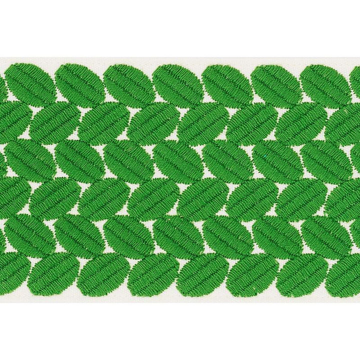 Berkeley Tape Wide Leaf 70655 by Schumacher Designer Trim Happy Together Ii 1.0" - Swanky Fabrics -