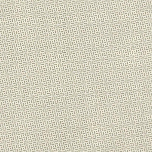 Berrydown Sage BERR006 by Schumacher Designer Fabric