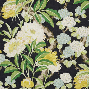 Enchanted Garden Black 177391 by Schumacher Designer Fabric