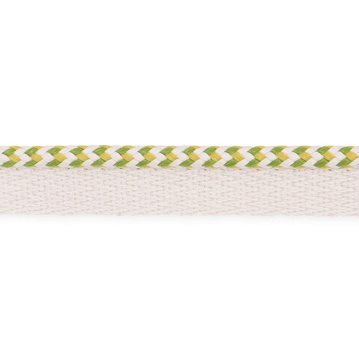 Bolander Cord Indoor/Outdoor Leaf 73475 by Schumacher Designer Trim Indoor/Outdoor: Prints & Wovens - Swanky Fabrics -