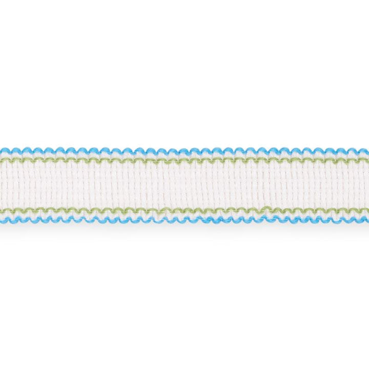 Filippa Tape Indoor/Outdoor Aqua 73571 by Schumacher Designer Trim Isola Indoor/Outdoor - Swanky Fabrics -