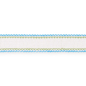 Filippa Tape Indoor/Outdoor Aqua 73571 by Schumacher Designer Trim