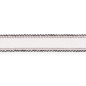 Filippa Tape Indoor/Outdoor Spectator 73573 by Schumacher Designer Trim