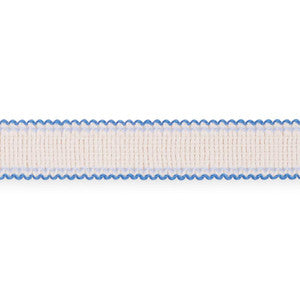 Filippa Tape Indoor/Outdoor Delft 73574 by Schumacher Designer Trim