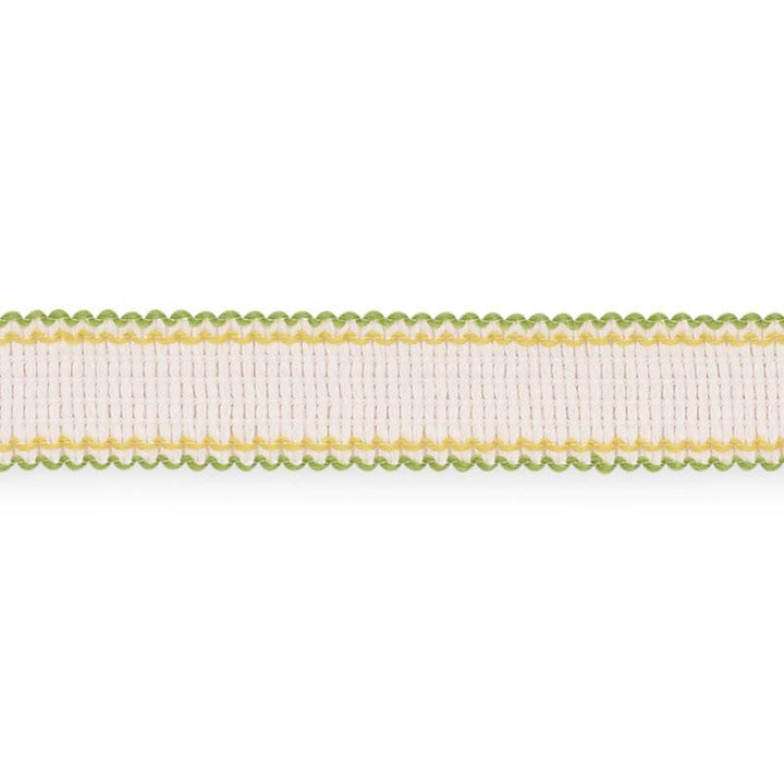 Filippa Tape Indoor/Outdoor Leaf 73575 by Schumacher Designer Trim Isola Indoor/Outdoor - Swanky Fabrics -