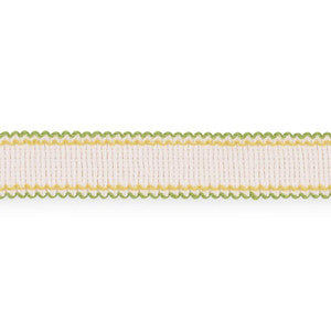Filippa Tape Indoor/Outdoor Leaf 73575 by Schumacher Designer Trim