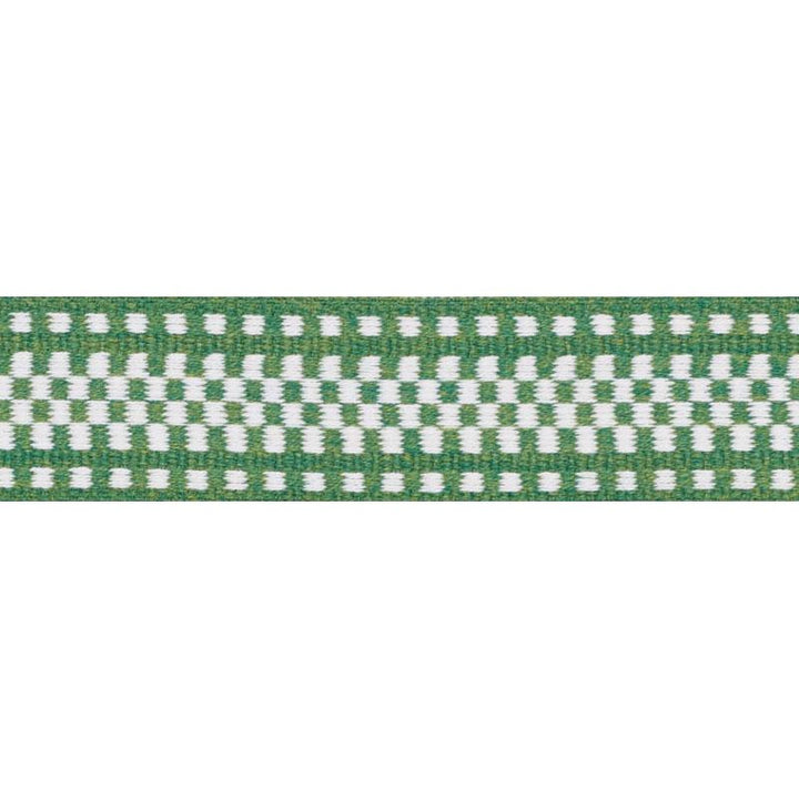 Marta Tape Indoor/Outdoor Green 73655 by Schumacher Designer Trim Indoor/Outdoor: Prints & Wovens - Swanky Fabrics -