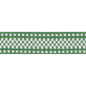 Marta Tape Indoor/Outdoor Green 73655 by Schumacher Designer Trim