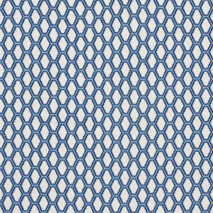 Beehive Blue 73420 by Schumacher Designer Fabric Happy Together 1.5" - Swanky Fabrics -