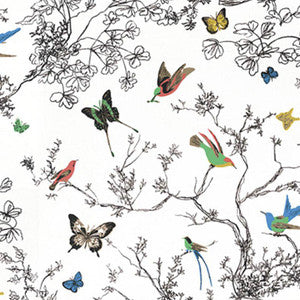 Birds & Butterflies Multi On White 174760 by Schumacher Designer Fabric