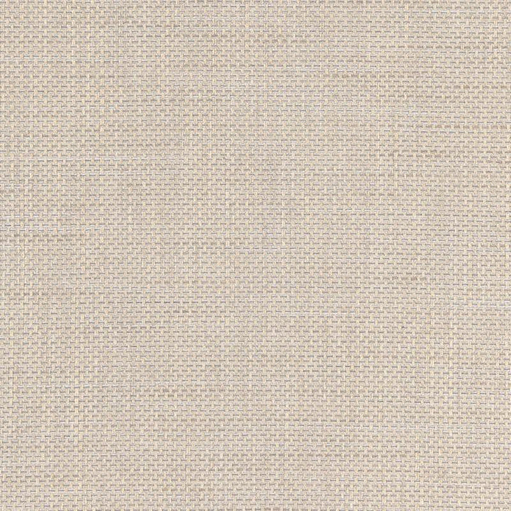 Chatelet Weave Indoor/Outdoor Zinc 66470 by Schumacher Designer Fabric Steel Magnolia - Swanky Fabrics -