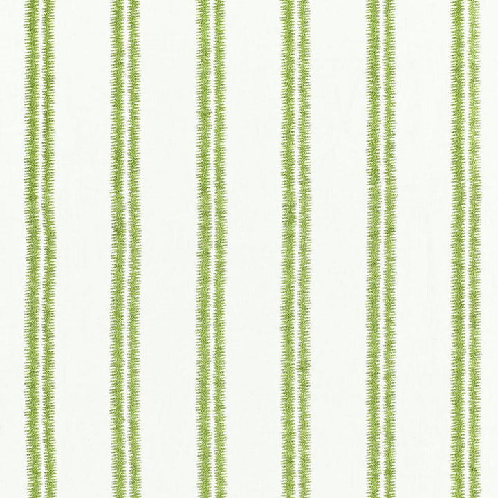 Paloma Embroidery Grass 68791 by Schumacher Designer Fabric Chroma 4.25" - Swanky Fabrics -