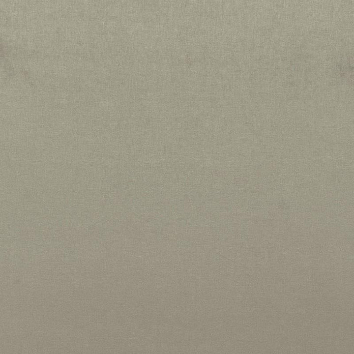 Sophia Velvet Pebble 68159 by Schumacher Designer Fabric Perfect Basics: Velvet - Swanky Fabrics -