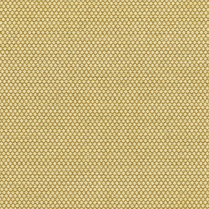 Sorano Chenille Sage 62583 by Schumacher Designer Fabric Chroma - Swanky Fabrics -
