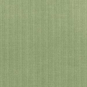 Antique Strie Velvet Aloe 69750 by Schumacher Designer Fabric