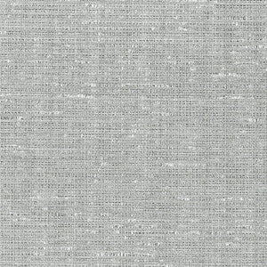 Anodized Raffia Platinum 5007780 by Schumacher Designer Wallpaper