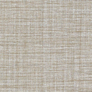 Anodized Raffia Warm Silver 5007781 by Schumacher Designer Wallpaper