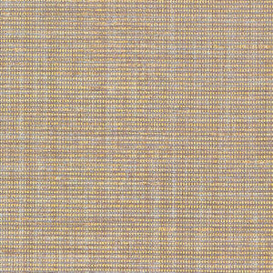 Anodized Raffia Gold 5007782 by Schumacher Designer Wallpaper