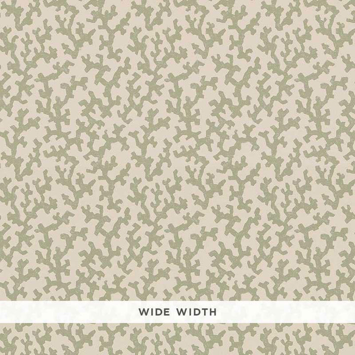 Folly Sage 5008003 by Schumacher Designer Wallpaper Veere Grenney 4.38" - Swanky Fabrics -