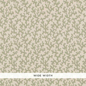 Folly Sage 5008003 by Schumacher Designer Wallpaper