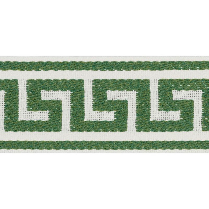 Ganton Tape Indoor/Outdoor Green 72393 by Schumacher Designer Trim Indoor-Outdoor Trims - Swanky Fabrics -
