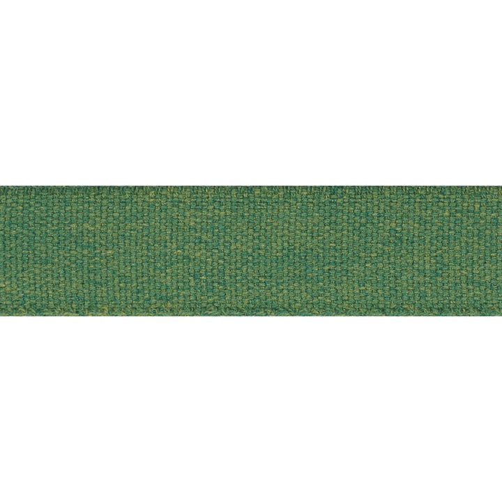 Ashwood Tape Indoor/Outdoor Green 72414 by Schumacher Designer Trim Indoor-Outdoor Trims - Swanky Fabrics -