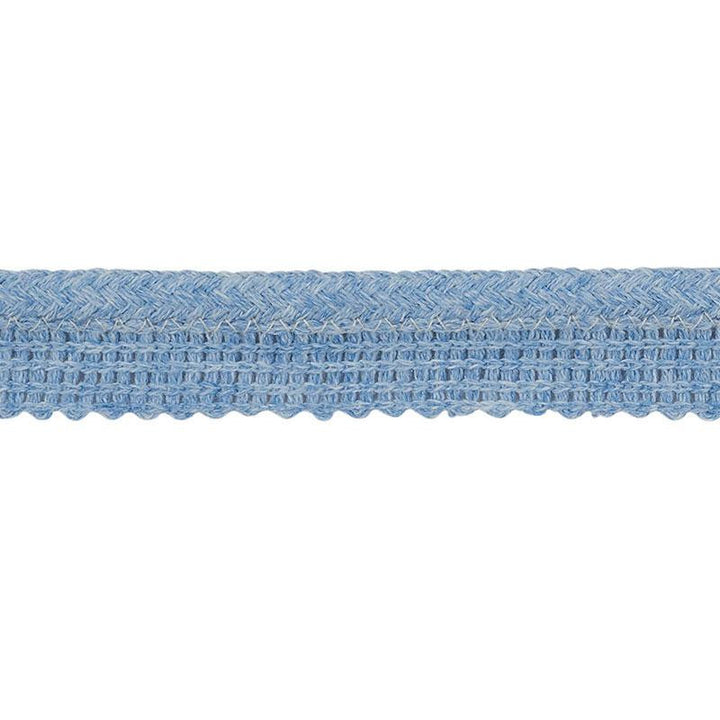 Eubie Lip Cord Indoor/Outdoor Blue 72422 by Schumacher Designer Trim Indoor-Outdoor Trims - Swanky Fabrics -