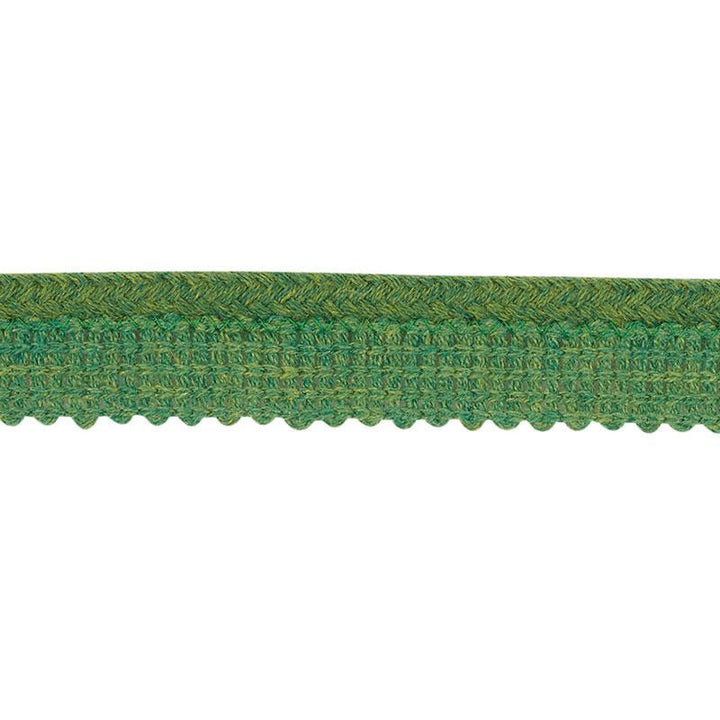 Eubie Lip Cord Indoor/Outdoor Green 72424 by Schumacher Designer Trim Indoor-Outdoor Trims - Swanky Fabrics -