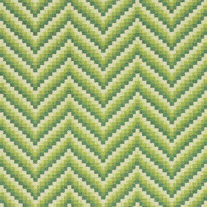 Wilder Grass 69800 by Schumacher Designer Fabric