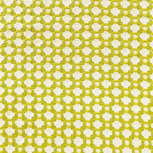 Betwixt Chartreuse / Ivory 65680 by Schumacher Designer Fabric