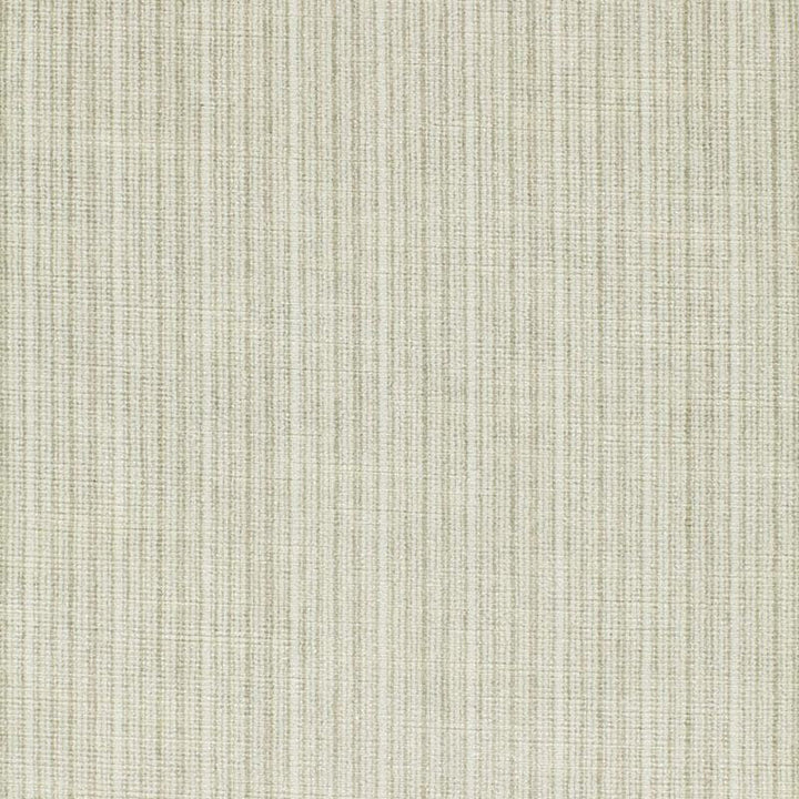 Antique Strie Velvet Fog 64710 by Schumacher Designer Fabric Perfect Basics: Velvet - Swanky Fabrics -