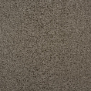Gloss Shagreen Stone 70382 by Schumacher Designer Fabric